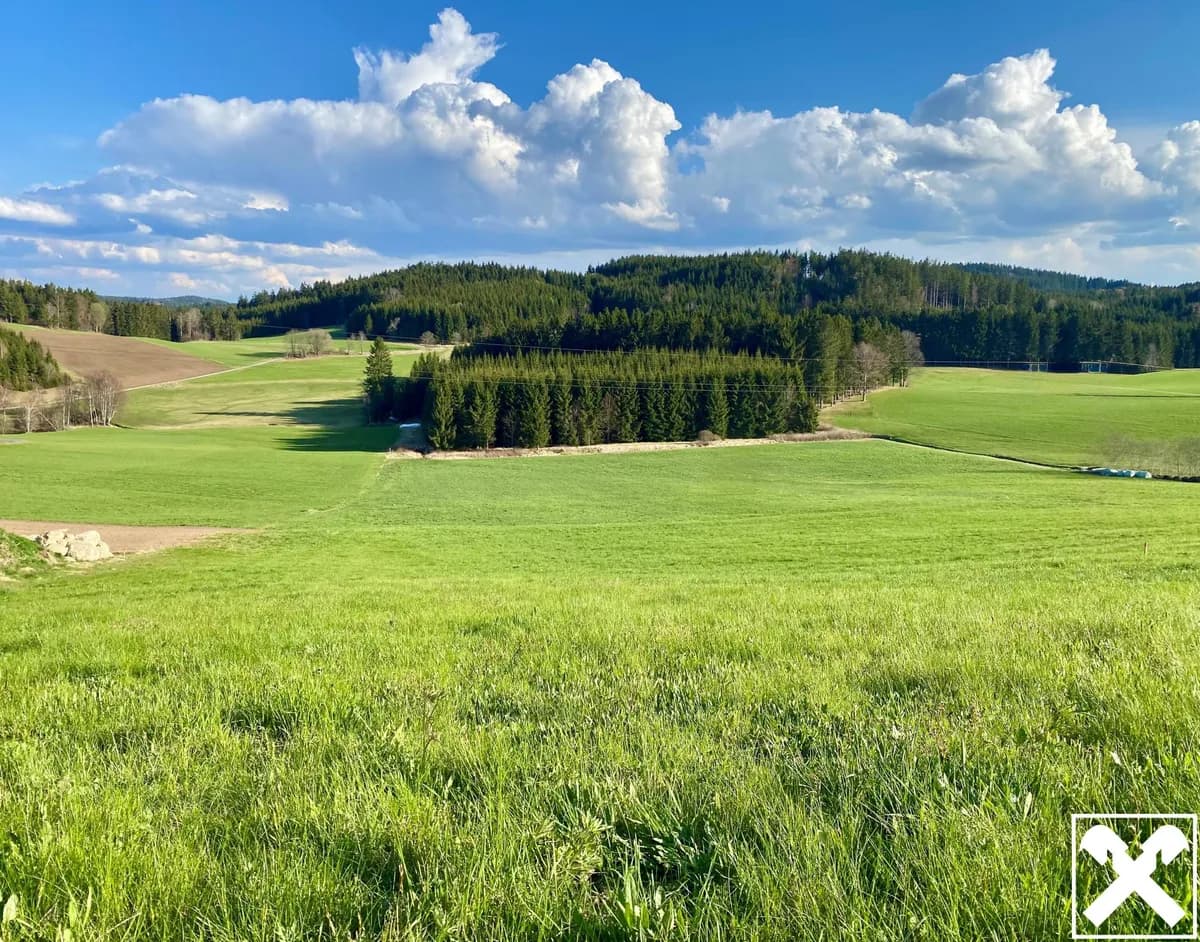 Grundstück kaufen in Freistadt – 1 297 m², € 46.545