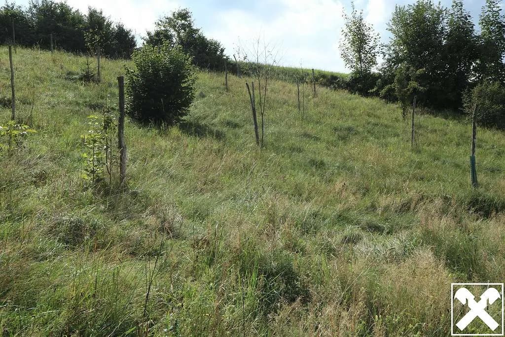 Grundstück kaufen in Perg – 1 041 m², € 39.558 – Bild 4 von 4