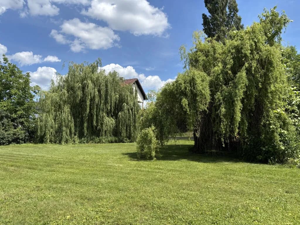 8-Zimmer-Gewerbeimmobilie kaufen in Oberwart – 300 m², € 375.000 – Bild 6 von 44