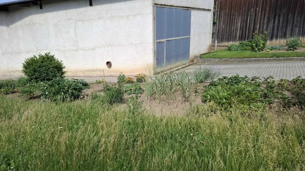 3-Zimmer-Immobilie kaufen in Hollabrunn – 110 m², € 210.000 – Bild 31 von 36