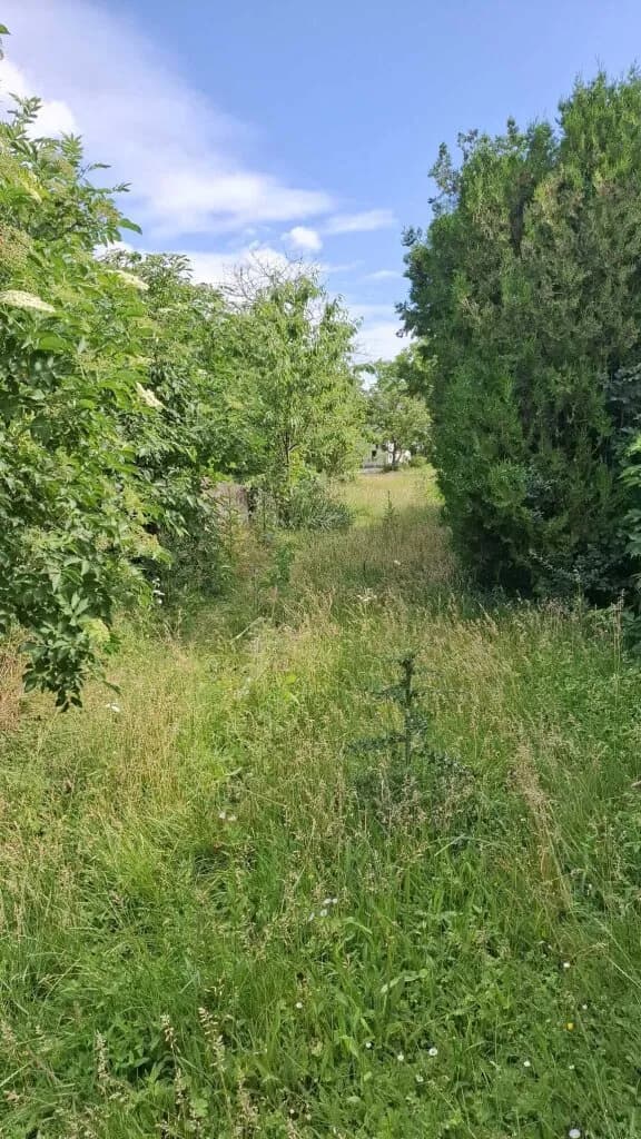 3-Zimmer-Immobilie kaufen in Hollabrunn – 110 m², € 210.000 – Bild 32 von 36