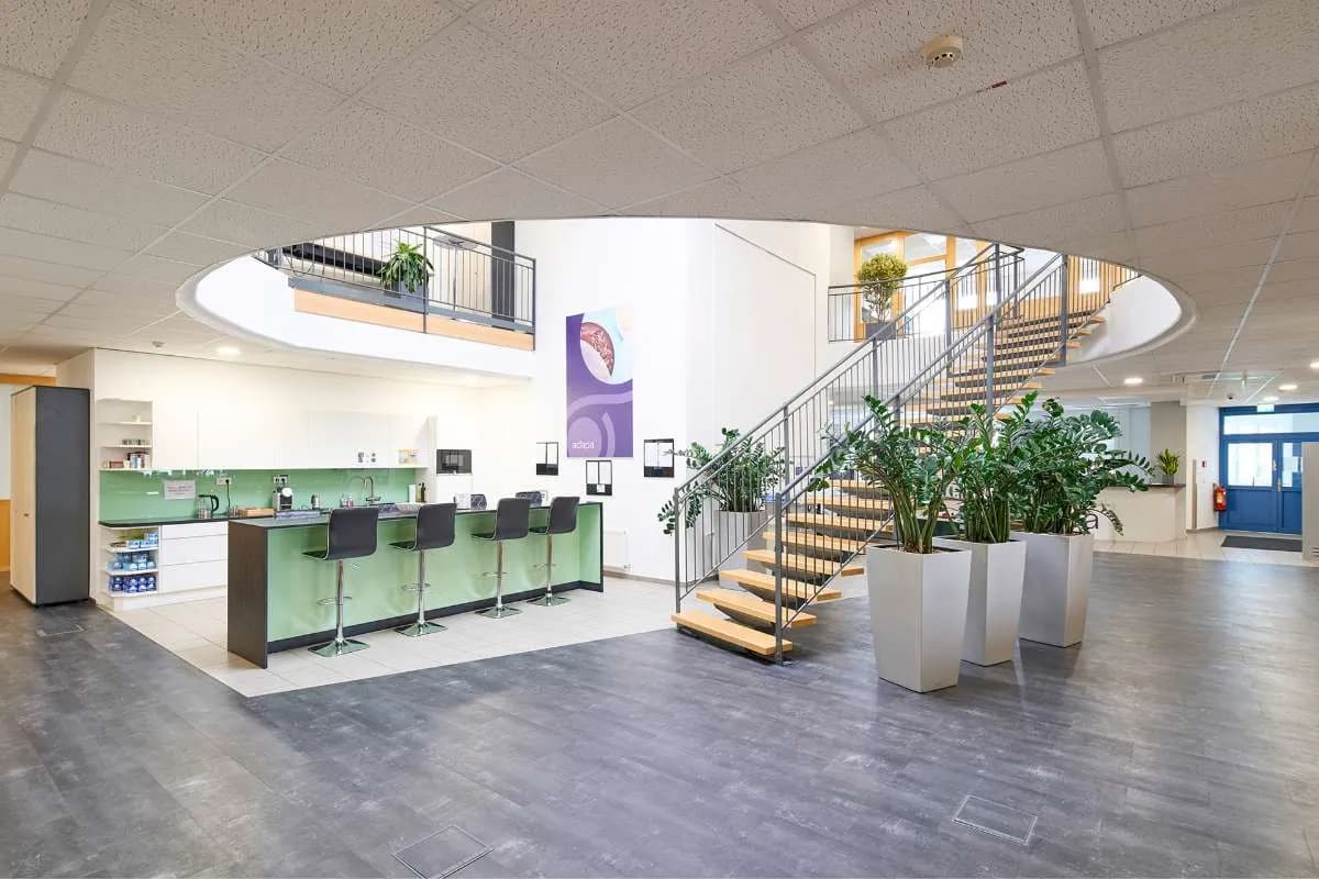 Gewerbeimmobilie mieten in Mödling – 6 896 m², € 6 – Bild 5 von 9