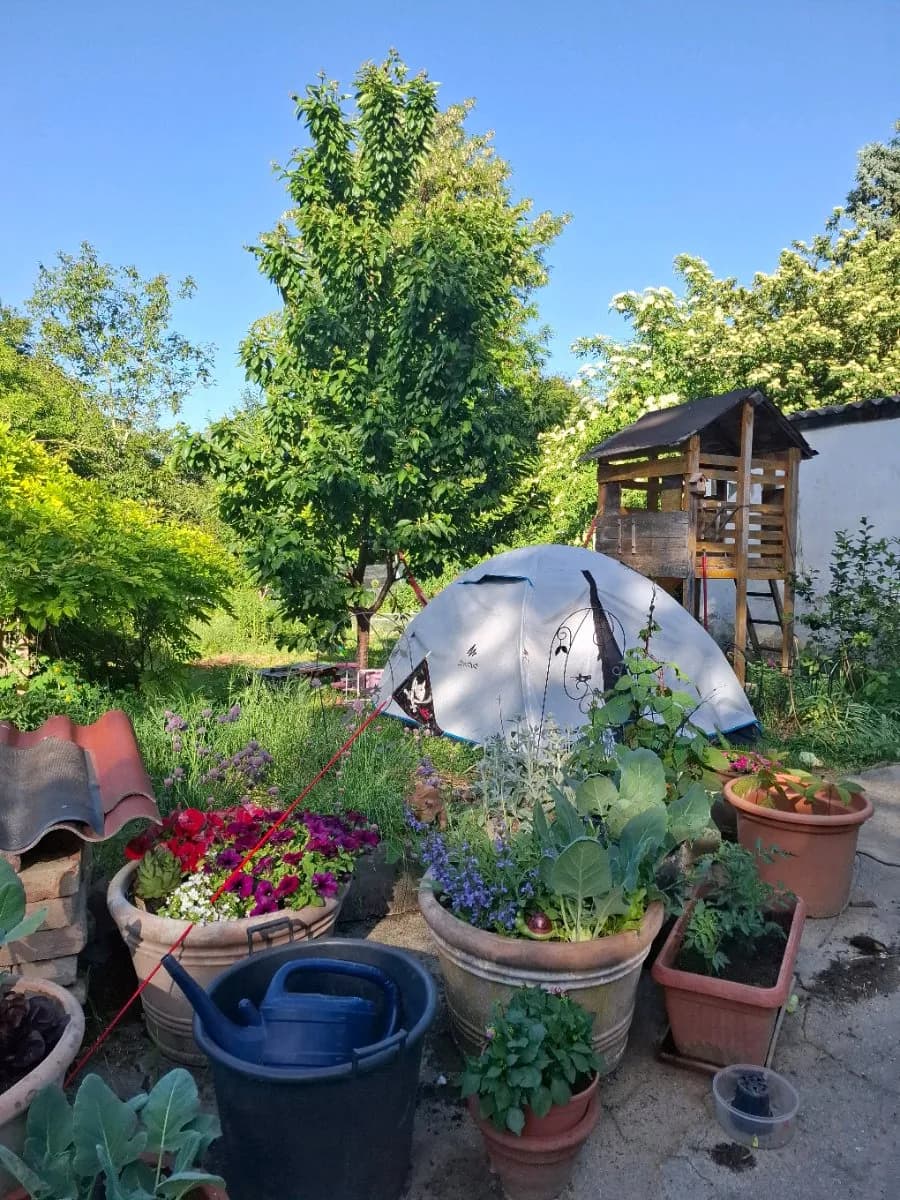 2-Zimmer-Immobilie kaufen in Mistelbach – 54 m², € 92.000 – Bild 17 von 20