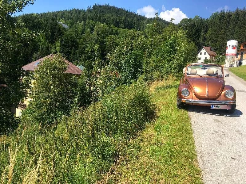 Immobilie kaufen in Bruck-Mürzzuschlag – 529 m², € 50.000 – Bild 3 von 4