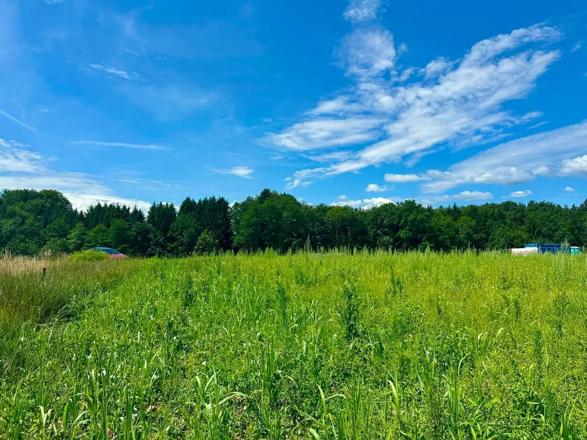Grundstück kaufen in Deutschlandsberg – 655 m², € 99.560 – Bild 7 von 10