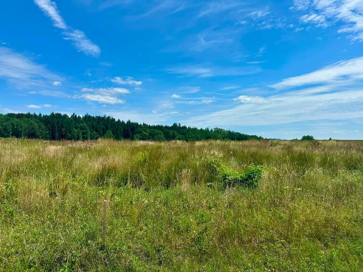 Grundstück kaufen in Deutschlandsberg – 655 m², € 99.560 – Bild 8 von 10