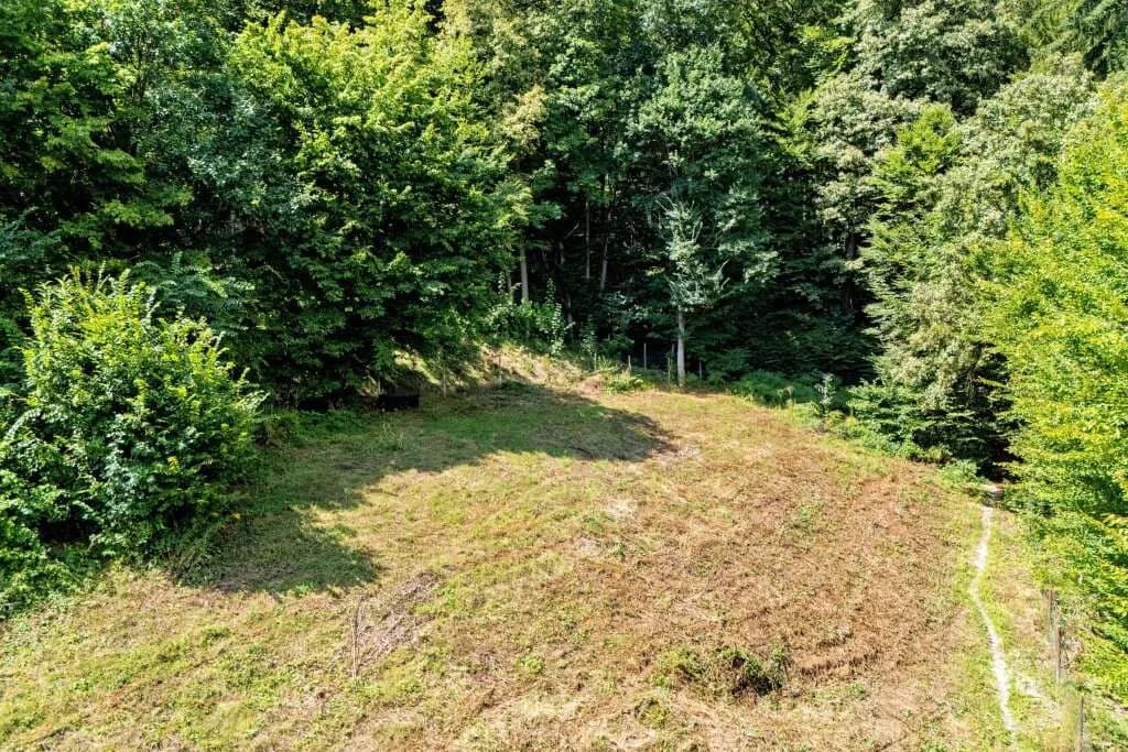 Grundstück kaufen in Graz-Umgebung – 5 911 m², € 289.000 – Bild 3 von 14