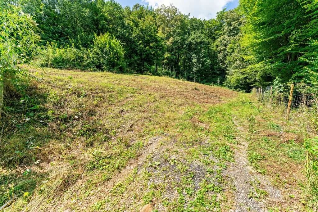 Grundstück kaufen in Graz-Umgebung – 5 911 m², € 289.000 – Bild 8 von 14
