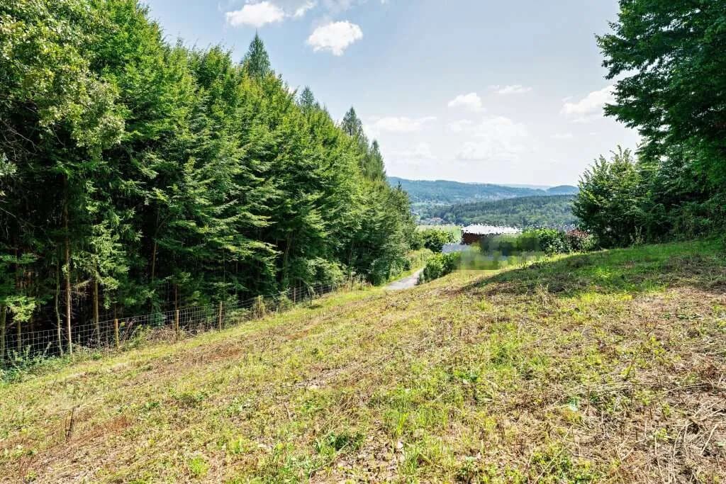 Grundstück kaufen in Graz-Umgebung – 5 911 m², € 289.000 – Bild 10 von 14