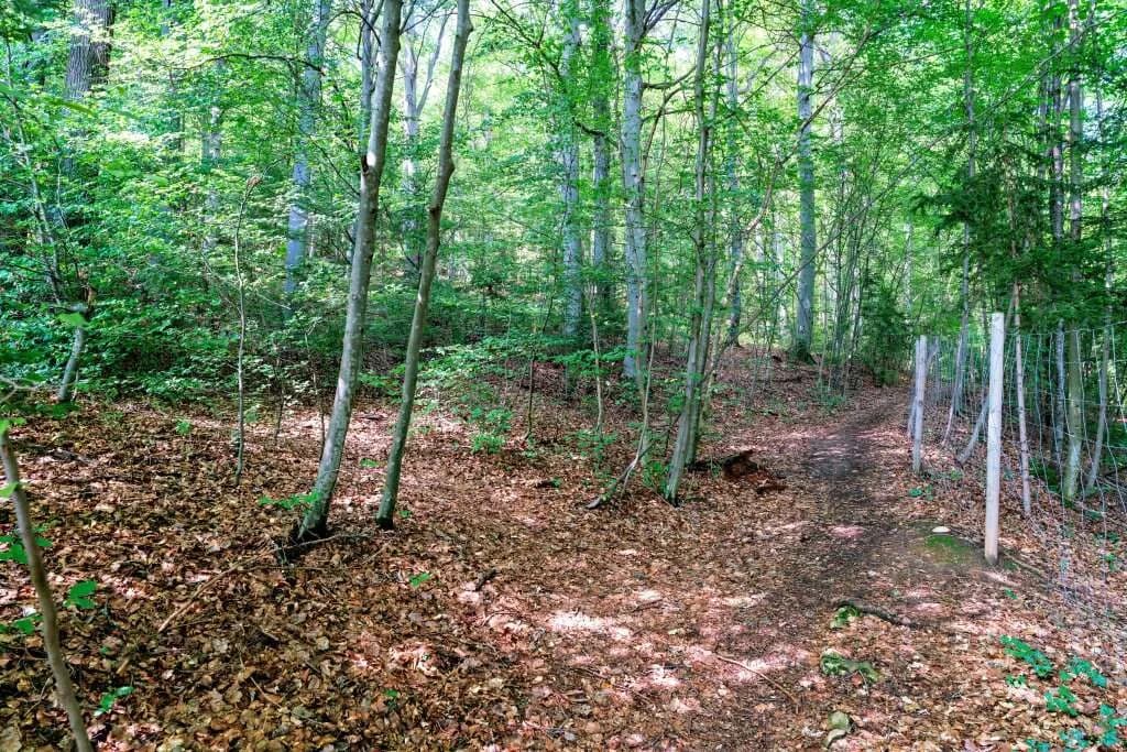 Grundstück kaufen in Graz-Umgebung – 5 911 m², € 289.000 – Bild 11 von 14