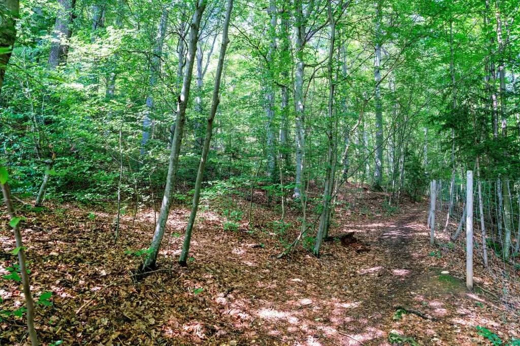 Grundstück kaufen in Graz-Umgebung – 5 911 m², € 289.000 – Bild 12 von 14