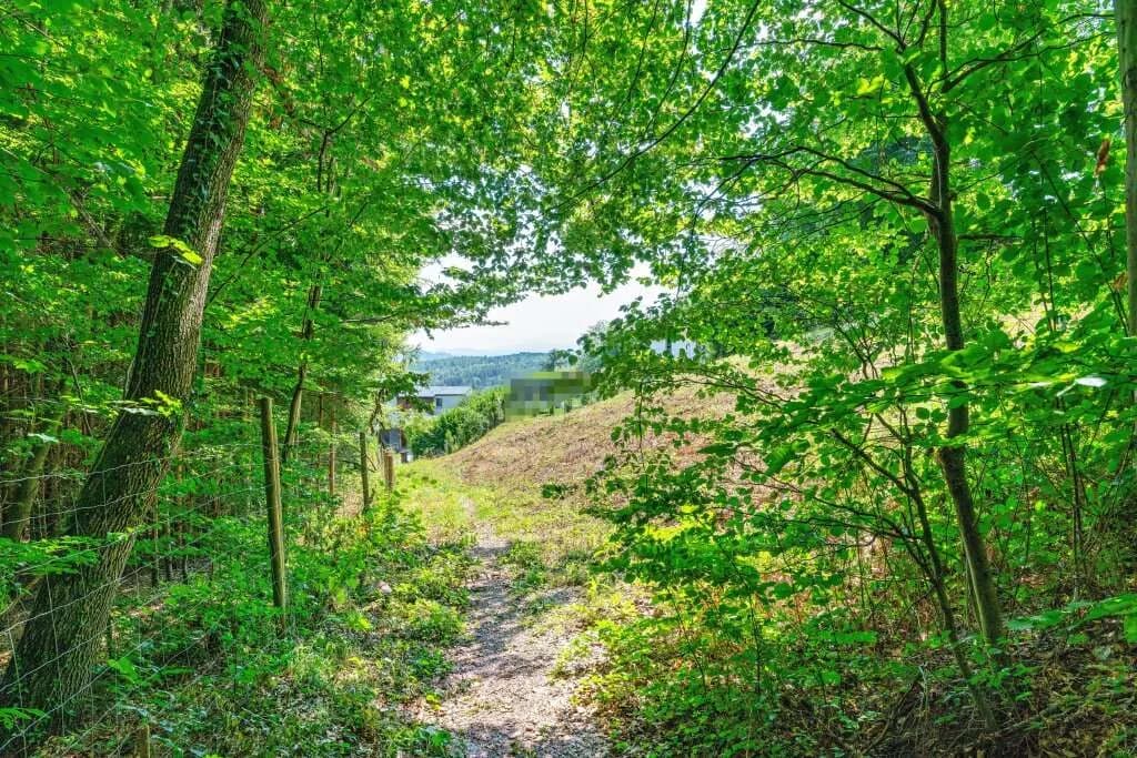 Grundstück kaufen in Graz-Umgebung – 5 911 m², € 289.000 – Bild 13 von 14