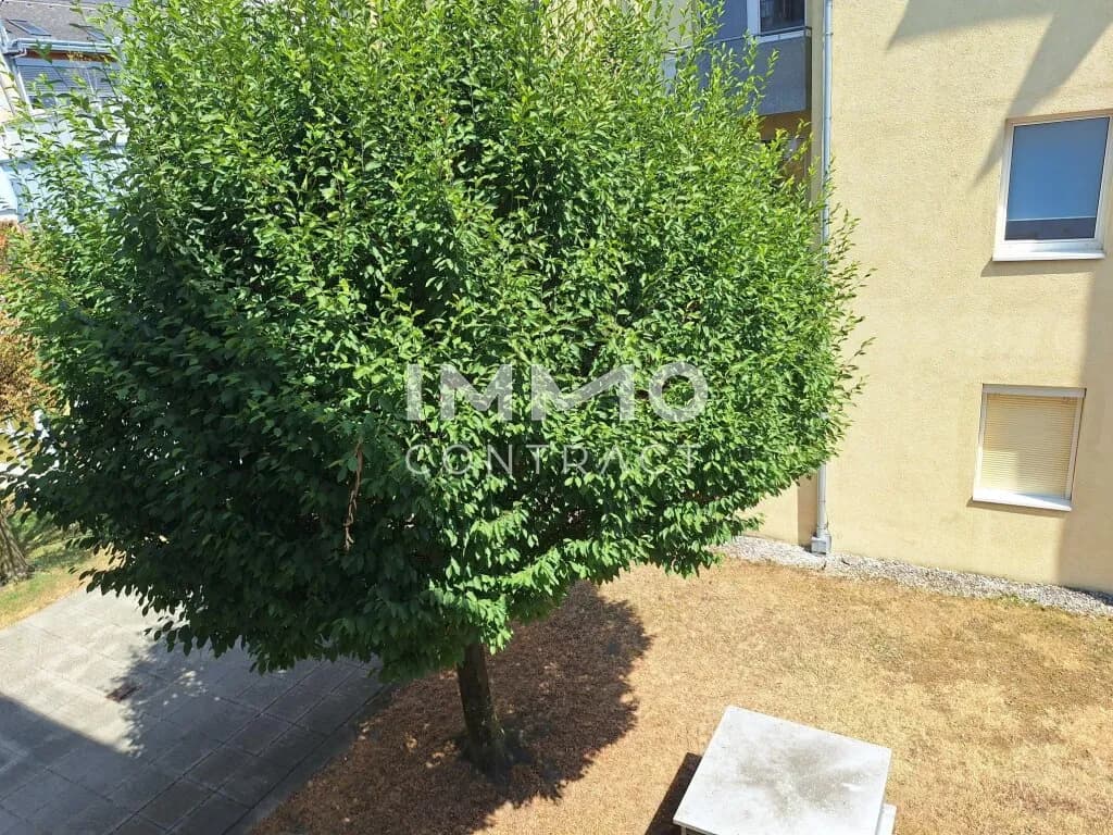 2-Zimmer-Wohnung mieten in Wels – 74,31 m², € 912 – Bild 13 von 18