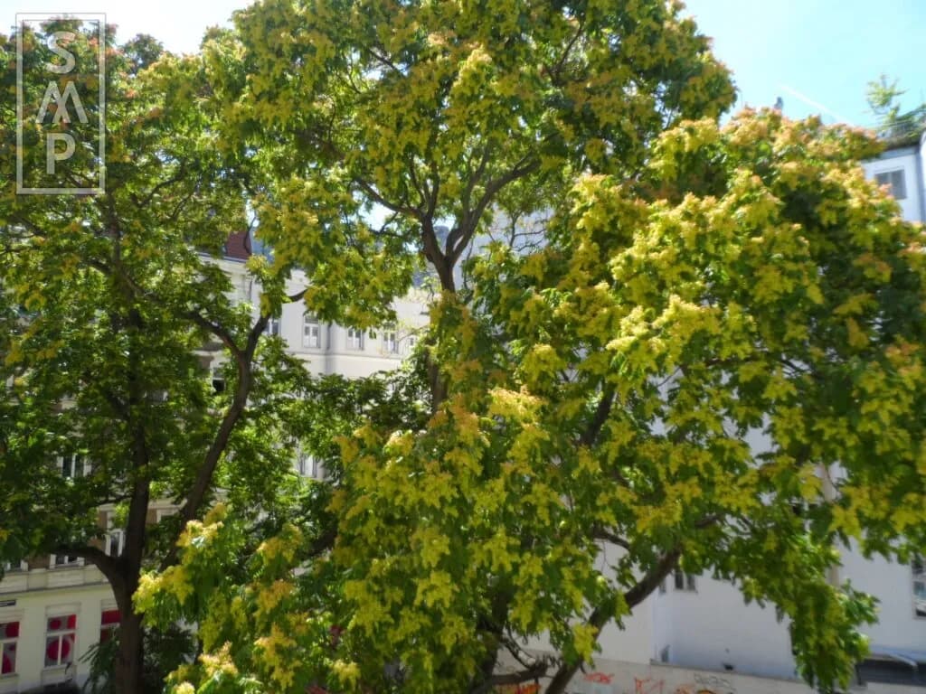 3-Zimmer-Wohnung kaufen in Wien – 70 m², € 490.000 – Bild 11 von 13
