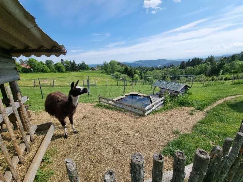 Grundstück kaufen in Graz-Umgebung – 115 m², € 590.000 – Bild 13 von 19