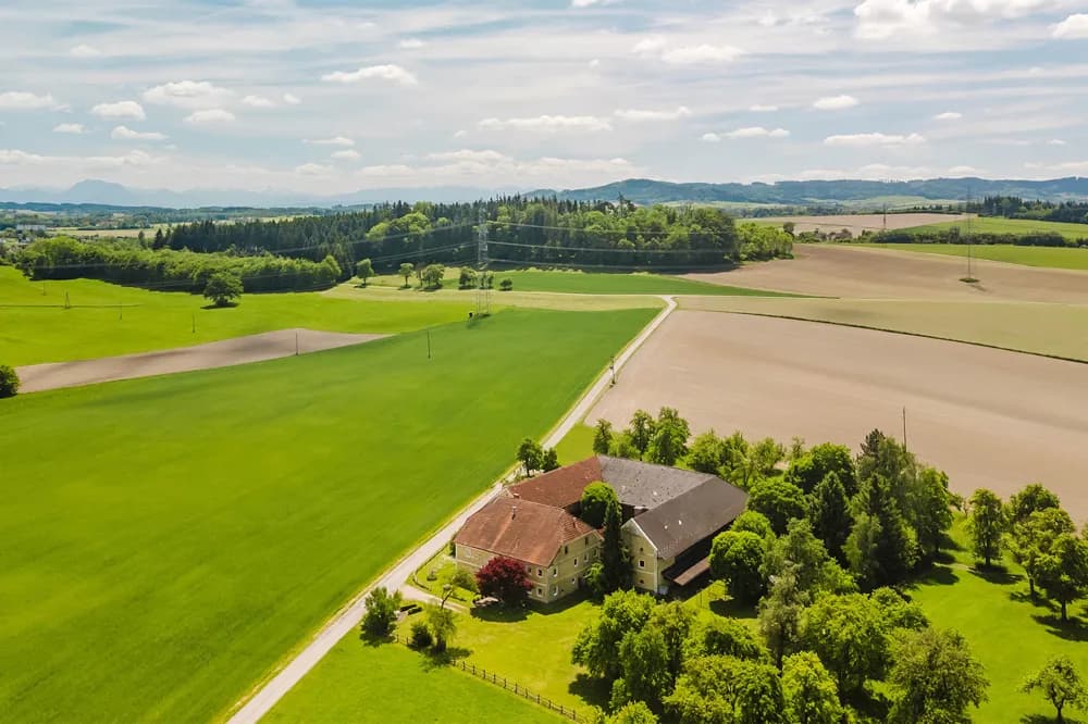 12-Zimmer-Haus kaufen in Grieskirchen – 822,4 m², € 890.000 – Bild 2 von 13