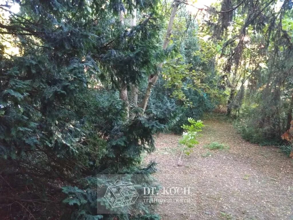 3-Zimmer-Wohnung mieten in Wien – 145 m², € 3.200 – Bild 3 von 9