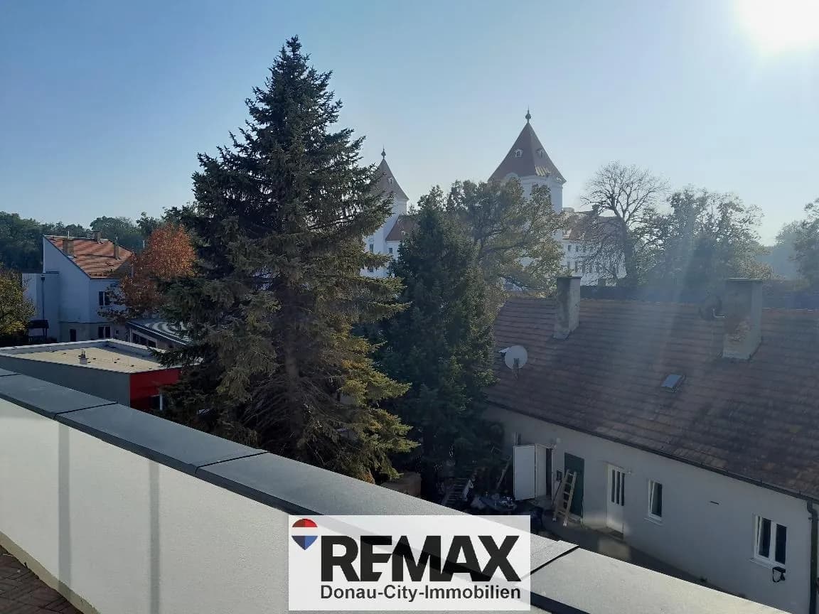 3-Zimmer-Wohnung kaufen in Wiener Neustadt Land – 95 m², € 299.000
