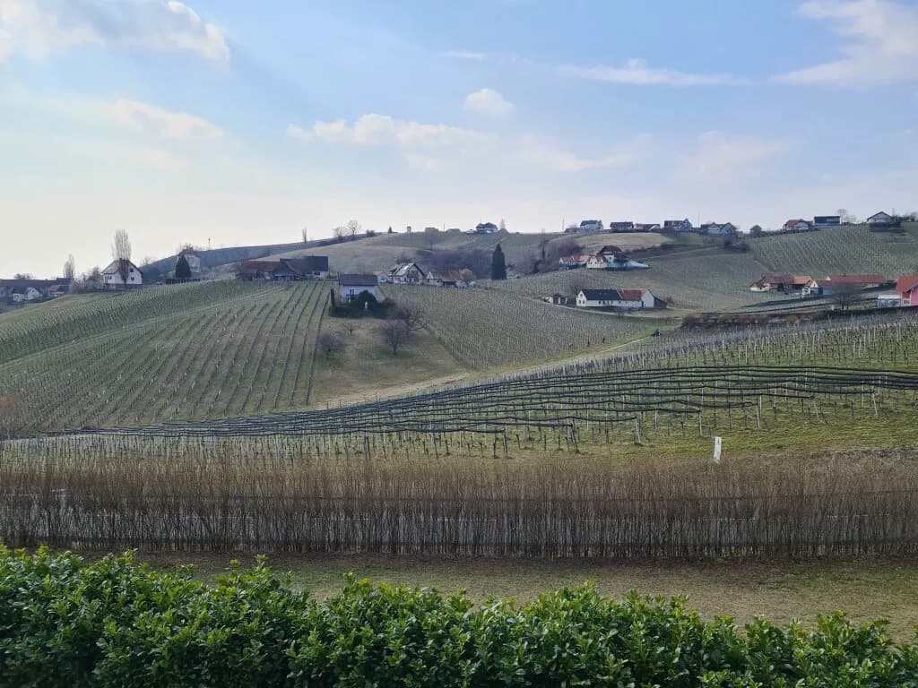 7-Zimmer-Haus kaufen in Südoststeiermark – 257 m², € 528.000 – Bild 18 von 31