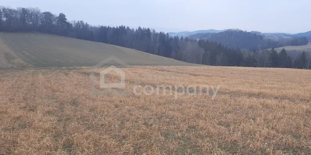 Grundstück kaufen in Wiener Neustadt Land – 25 934 m²