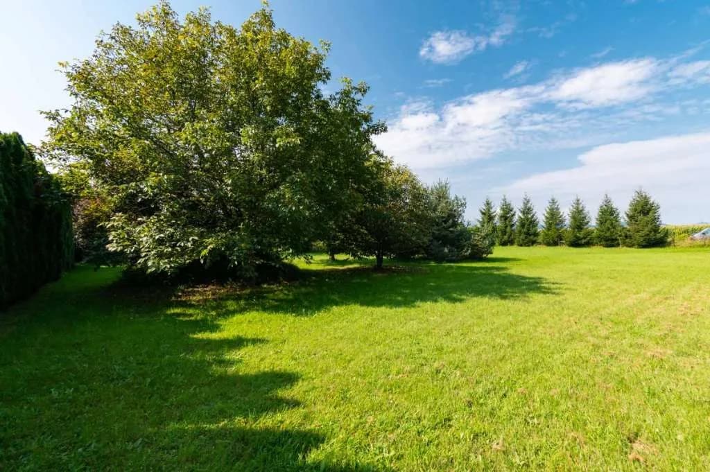 Grundstück kaufen in Klagenfurt – 3 000 m², € 117 – Bild 8 von 17