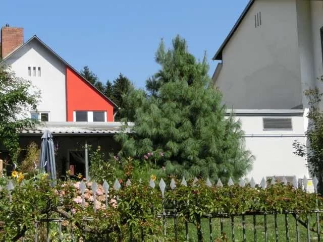 Gewerbeimmobilie kaufen in Weiz – 231,3 m², € 395.000 – Bild 6 von 14
