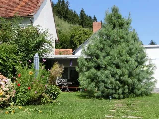 Gewerbeimmobilie kaufen in Weiz – 231,3 m², € 395.000 – Bild 7 von 14