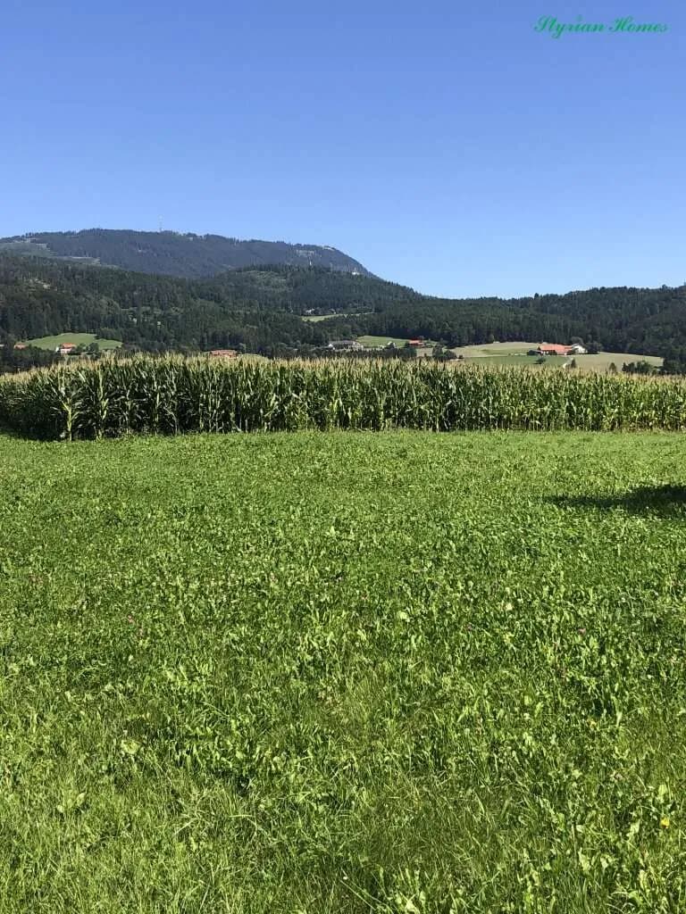 Grundstück kaufen in Graz-Umgebung – 800 m², € 163.000