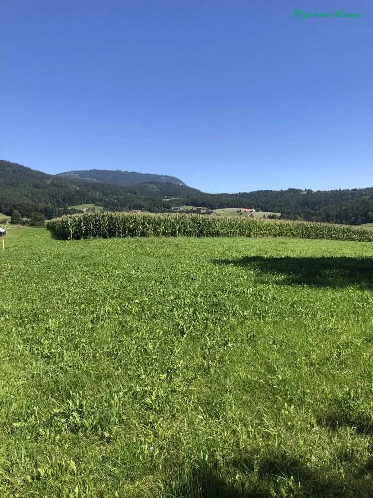 Grundstück kaufen in Graz-Umgebung – 800 m², € 163.000 – Bild 3 von 5