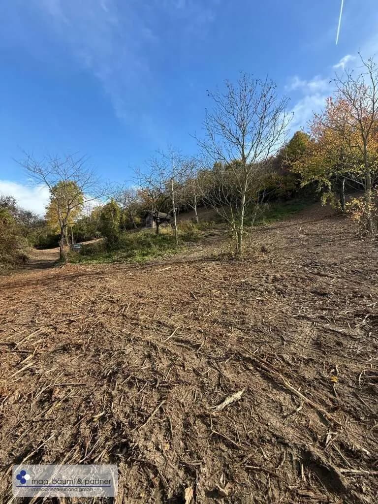 Immobilie kaufen in Tulln – 1 700 m², € 69.000 – Bild 5 von 5