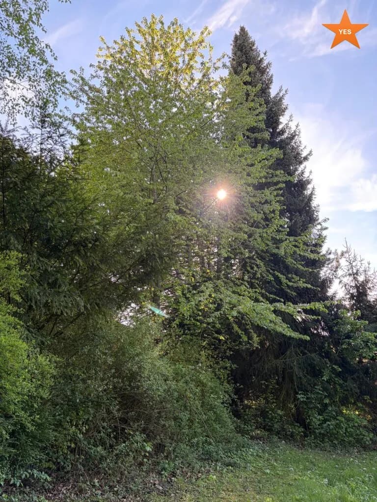 Grundstück kaufen in Tulln – 2 800 m², € 699.000 – Bild 11 von 21