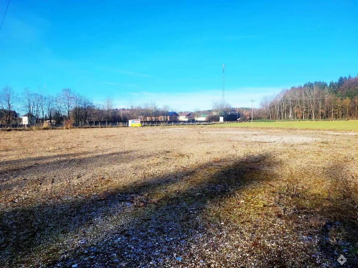 Immobilie mieten in Salzburg-Umgebung – 480 m², € 5.500 – Bild 3 von 6