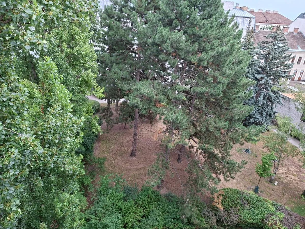 1-Zimmer-Wohnung mieten in Wien – 41 m², € 430 – Bild 11 von 11