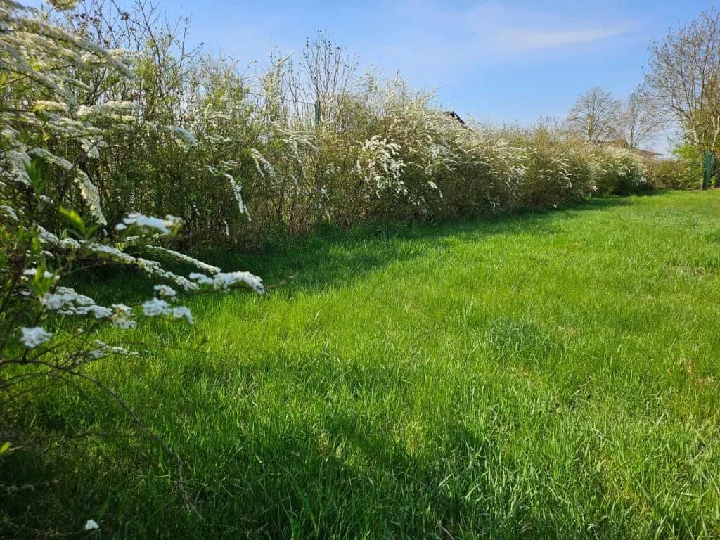 Grundstück kaufen in Braunau am Inn – 596 m², € 98.340 – Bild 4 von 7