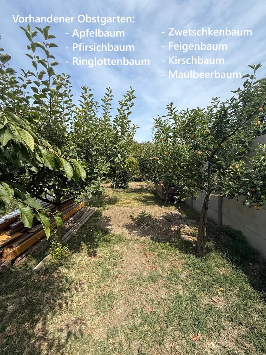 Grundstück kaufen in Gänserndorf – 815 m², € 209.000 – Bild 5 von 8