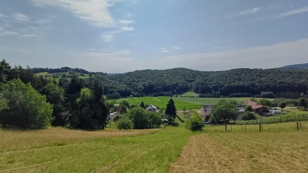 Grundstück kaufen in Südoststeiermark – 895 m², € 79.000 – Bild 5 von 6