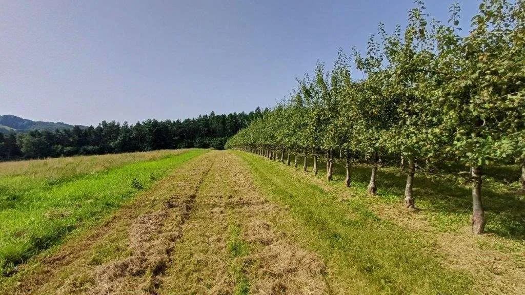Grundstück kaufen in Jennersdorf – 14 438 m²
