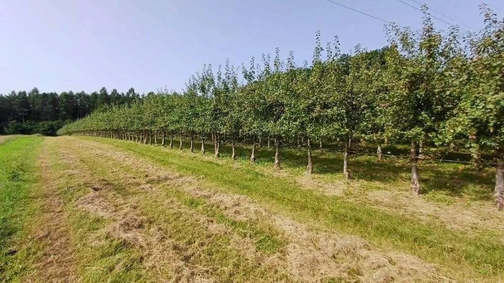 Grundstück kaufen in Jennersdorf – 14 438 m² – Bild 5 von 9