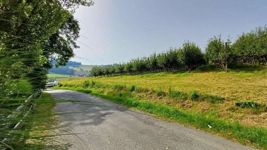 Grundstück kaufen in Jennersdorf – 14 438 m² – Bild 6 von 9