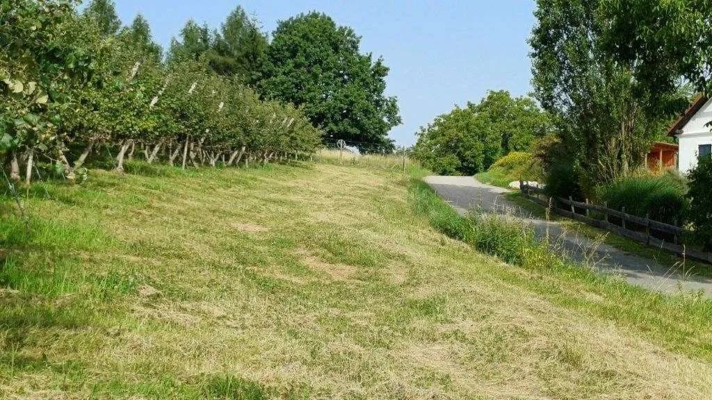 Grundstück kaufen in Jennersdorf – 14 438 m² – Bild 7 von 9