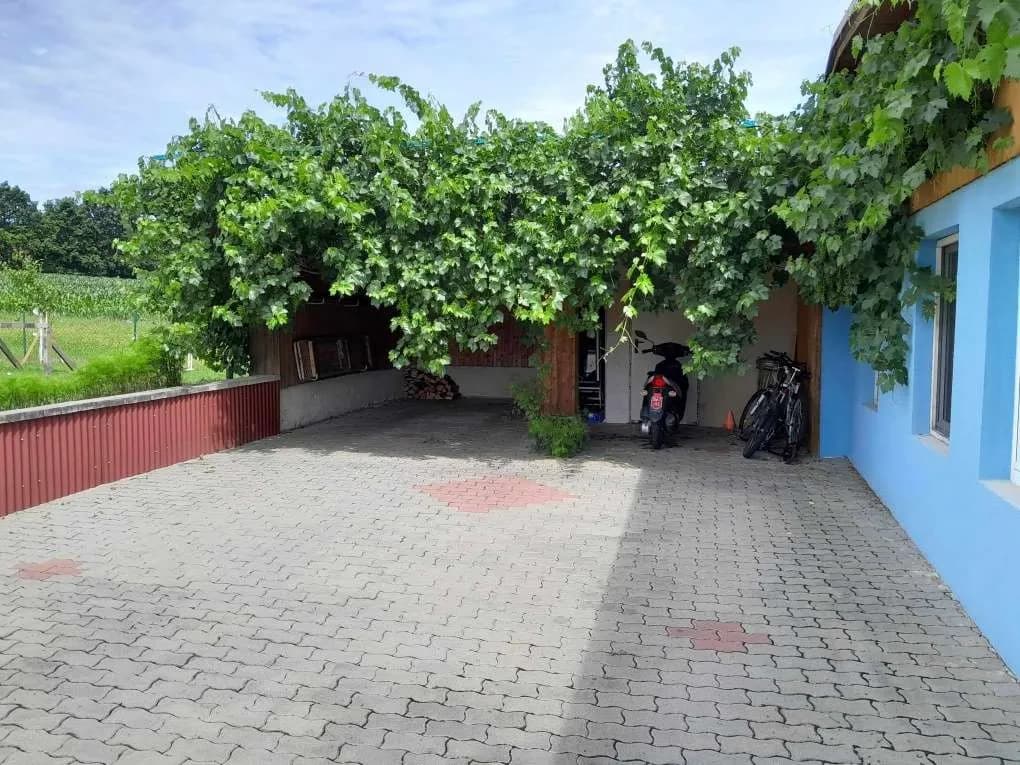 5-Zimmer-Haus mieten in Oberwart – 140 m², € 1.150 – Bild 7 von 39