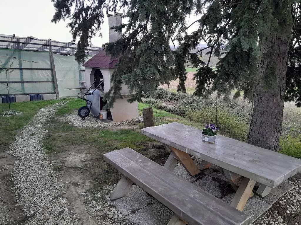 5-Zimmer-Haus mieten in Oberwart – 140 m², € 1.150 – Bild 14 von 39