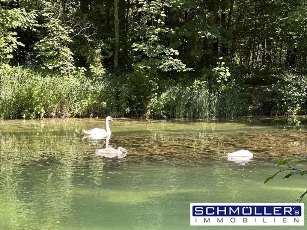 Immobilie kaufen in Wels-Land – 275 m² – Bild 35 von 62