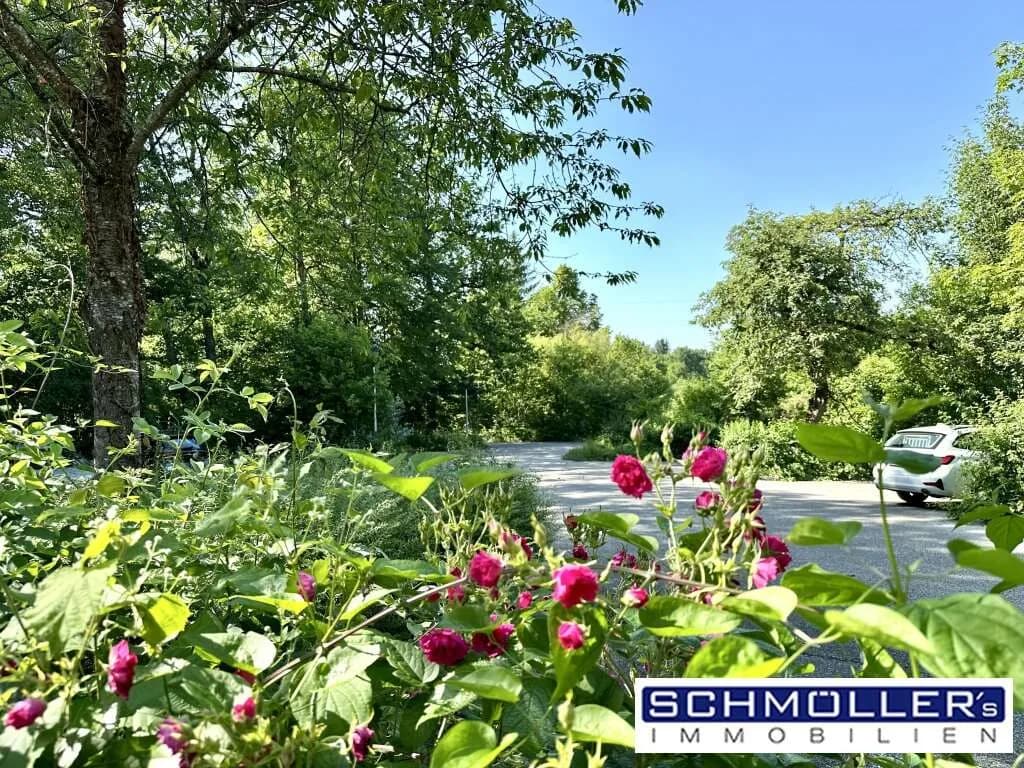 Immobilie kaufen in Wels-Land – 275 m² – Bild 39 von 62