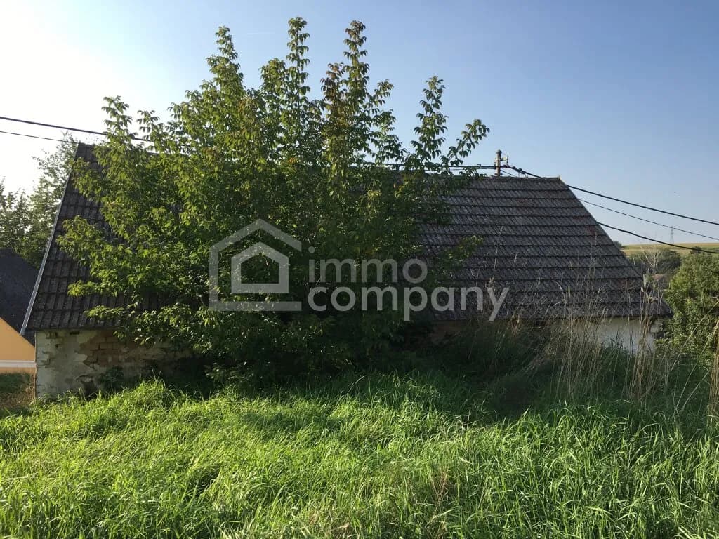 2-Zimmer-Immobilie mieten in Gänserndorf – 80 m², € 225 – Bild 9 von 15