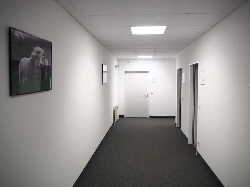 Gewerbeimmobilie mieten in Wien – 300 m² – Bild 3 von 9