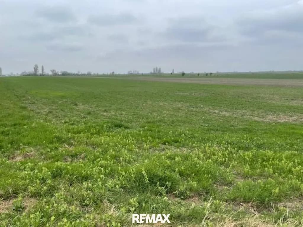 Grundstück kaufen in Neusiedl am See – 16 950 m², € 67.800