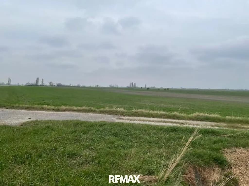Grundstück kaufen in Neusiedl am See – 16 950 m², € 67.800 – Bild 2 von 2
