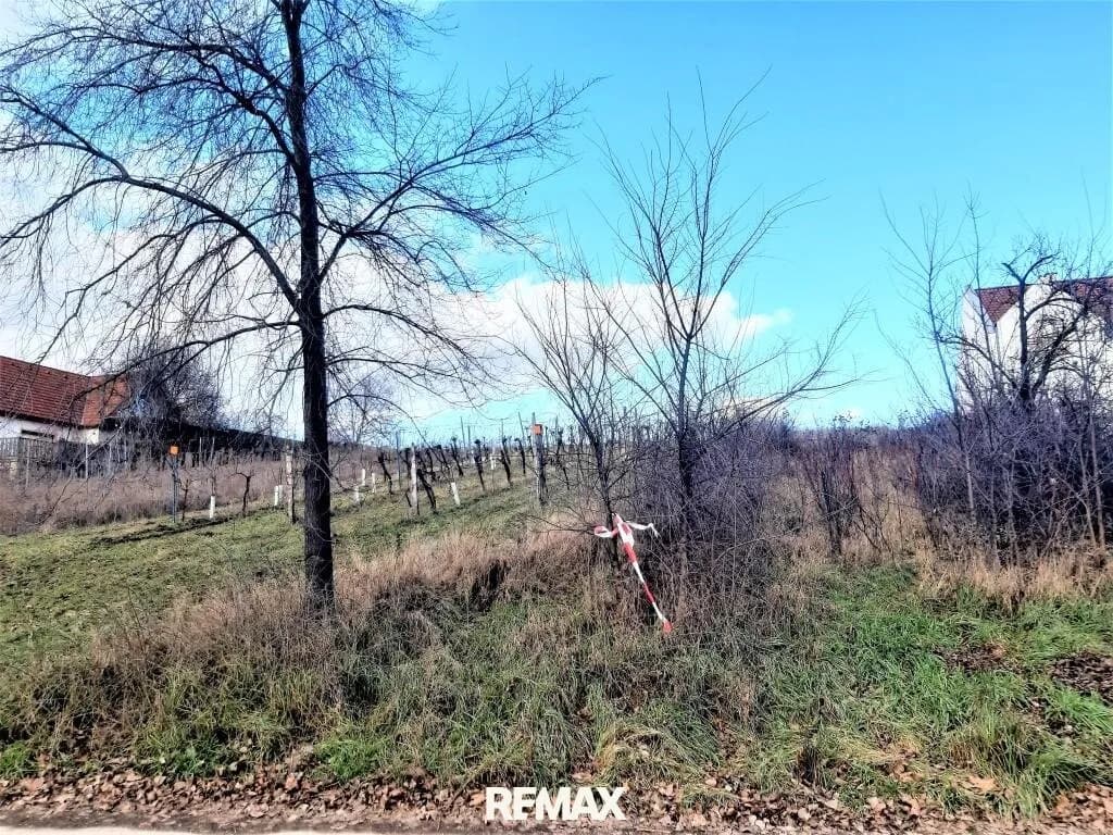 Grundstück kaufen in Neusiedl am See – 2 400 m², € 768.000