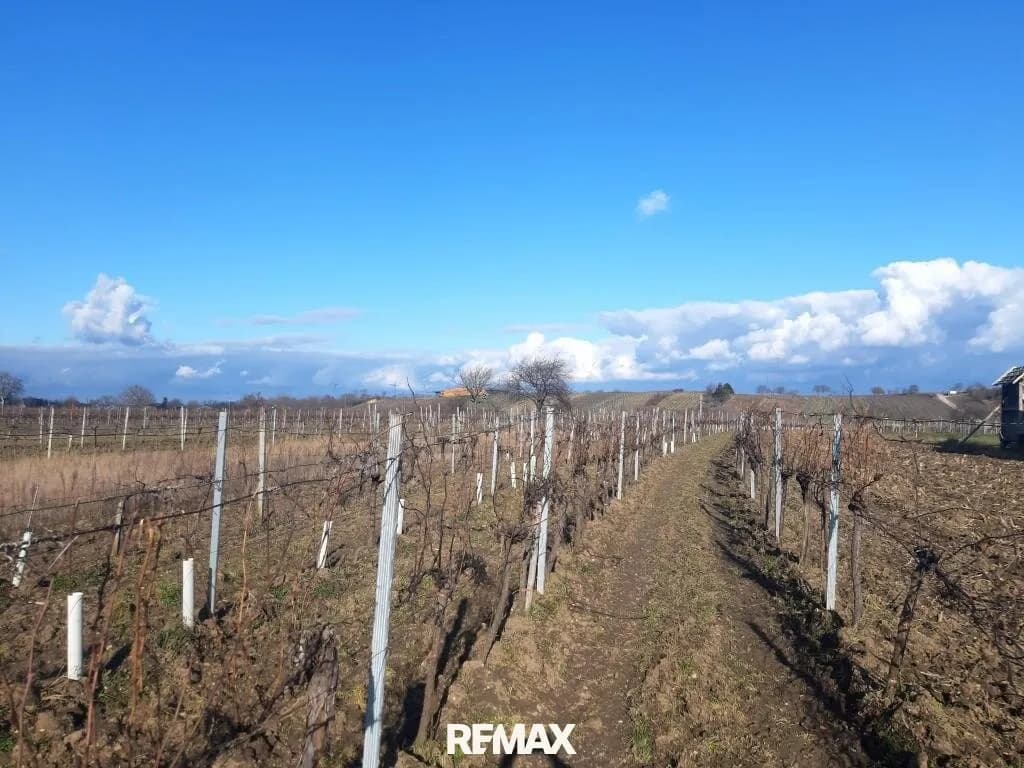 Grundstück kaufen in Neusiedl am See – 2 400 m², € 768.000 – Bild 2 von 3